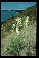 03250-00018-Michigan National Parks-Sleeping Bear Dunes National Lakeshore.jpg