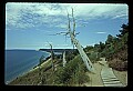 03250-00026-Michigan National Parks-Sleeping Bear Dunes National Lakeshore.jpg