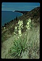 03250-00033-Michigan National Parks-Sleeping Bear Dunes National Lakeshore.jpg