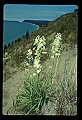 03250-00063-Michigan National Parks-Sleeping Bear Dunes National Lakeshore.jpg