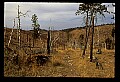 04301-00006-South Dakota State Parks-Custer State Park.jpg