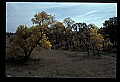 04301-00029-South Dakota State Parks.jpg