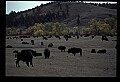 04301-00060-South Dakota State Parks.jpg