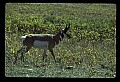 04301-00093-South Dakota State Parks.jpg