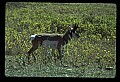 04301-00095-South Dakota State Parks.jpg