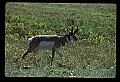 04301-00096-South Dakota State Parks.jpg