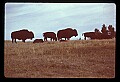 04301-00098-South Dakota State Parks.jpg