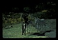 04301-00116-South Dakota State Parks.jpg