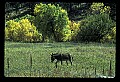 04301-00121-South Dakota State Parks.jpg