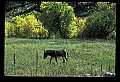 04301-00122-South Dakota State Parks.jpg