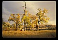 04301-00129-South Dakota State Parks.jpg