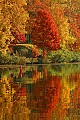 DSC_0589 plum orchard lake--fall color.jpg