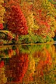 DSC_0596 plum orchard lake-fall color reflection.jpg