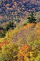 DSC_1812 fall color highland scenic highway.jpg
