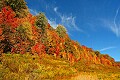 DSC_8603 fall color highland scenic highway.jpg