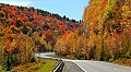DSC_8671 fall color highland scenic highway.jpg