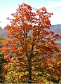 fall color highland scenic highway 2.jpg