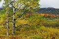 _MG_2402 fall color canaan valley.jpg