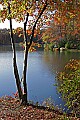 _MG_3202 babcock state park lake--fall.jpg