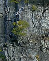 _MG_1467 seneca rocks climbers.jpg