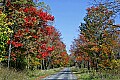_MG_9367 tucker county road in fall.jpg