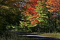_MG_9428 fall color canaan valley.jpg