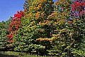 _MG_9466 tucker county fall color.jpg