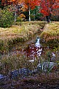 _MG_1673 canaan valley state park-blackwater river and fall color.jpg
