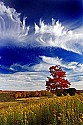 _MG_1761 canaan valley state park-fall color-spectacular clouds 1.jpg