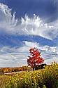_MG_1766 canaan valley state park-spectacular clouds-fall color.jpg