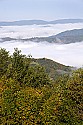 _MG_1831 fog shrouds the valley of Backboane Mountain-centennial park wv.jpg