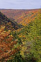 _MG_2173 blackwater falls state park fall color.jpg