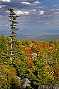 _MG_2794 view east from Dolly Sods-fall color.jpg