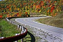 _MG_3658 red lick section of Highland Scenic Highway-Pocahontas County wv.jpg
