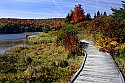 _MG_4370 spruce knob national recreation area-wooden walkway around spruce knob lake.jpg