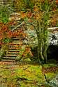 _MG_6657 stone walkway at the Glade Creek Grist Mill at Babcock State Park.jpg