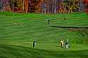 _MG_8485 deer and golfers share space on the arnold palmer designed golf course at Stonewall Jackson Lake State Park.jpg