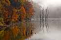 _MG_9047 Stonewall Jackson Lake State Park.jpg
