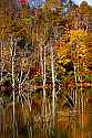 _MG_9069 Stonewall Jackson Lake State Park.jpg