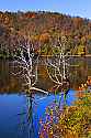 _MG_9109 Stonewall Jackson Lake State Park.jpg