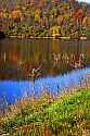 _MG_9113 Stonewall Jackson Lake State Park.jpg