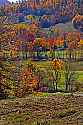 _MG_9652 fall color in Braxton County WV.jpg