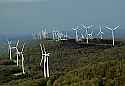 DSC_8187 wind turbines-thomas, wv.jpg
