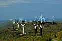 DSC_8188 wind turbines.jpg