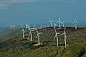 Fil04973 wind turbines along backbone mountain.jpg