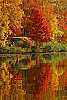 DSC_0589 plum orchard lake--fall color.jpg