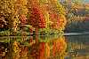 DSC_0605 plum orchard lake--fall color.jpg