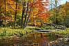 WMAG659 fall color, spruce knob area.jpg