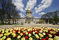 _MG_0622  tulips, clouds and capitol 13x19.jpg