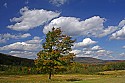 _MG_2418 canaan valley state park-early fall color and great clouds.jpg